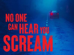 No One Can Hear You Scream poster