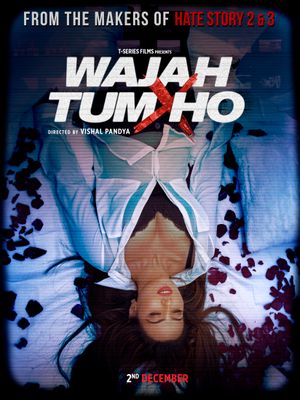 Wajah Tum Ho poster