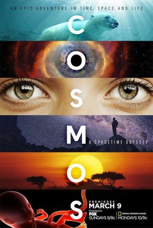 Cosmos A Spacetime Odyssey poster