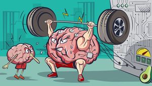 Udemy - Machine Learning Practical Workout & poster