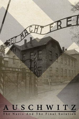Auschwitz - The Nazis & poster