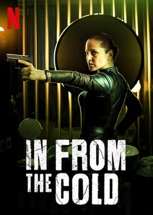 In from the Cold poster