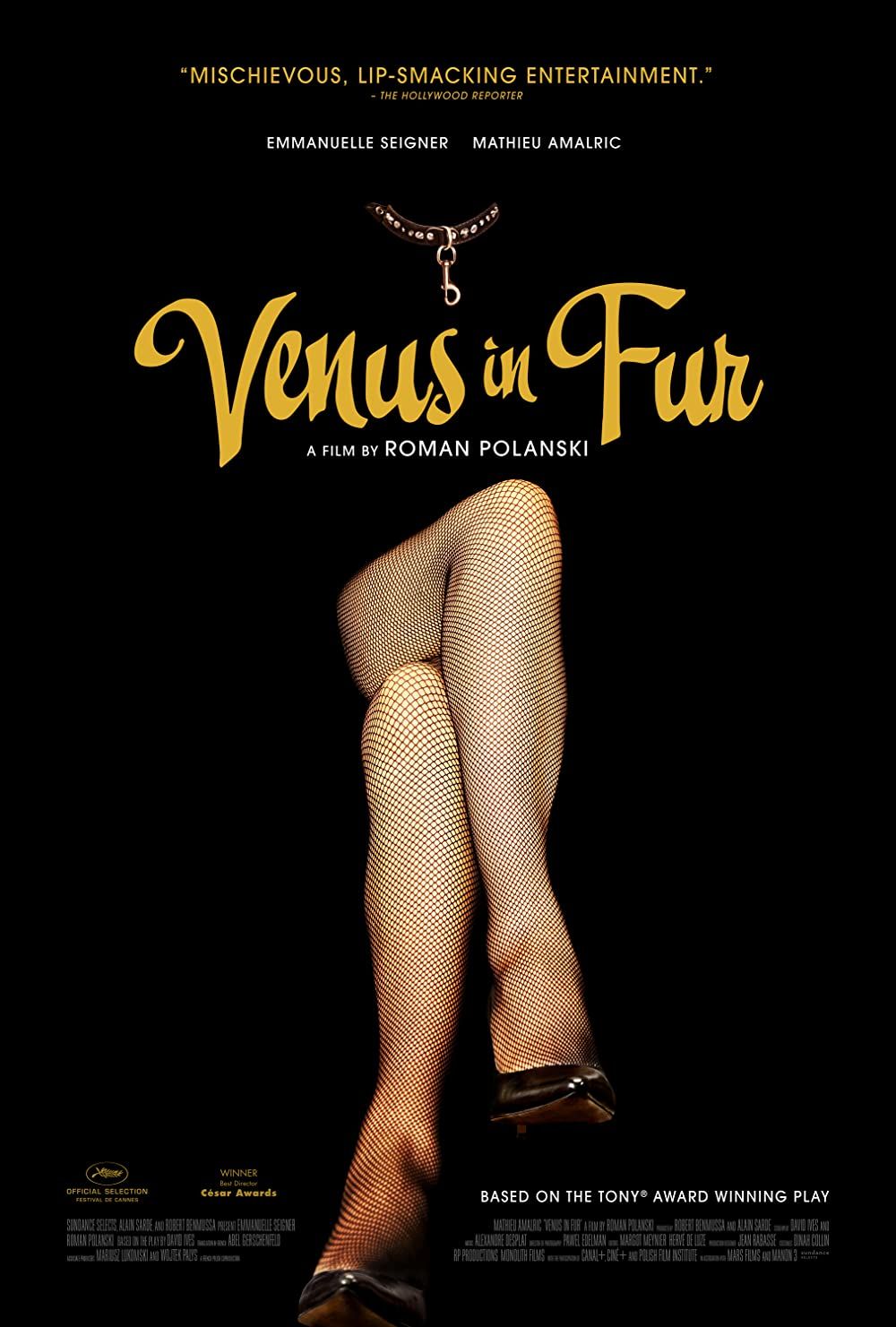 Venus In Fur poster