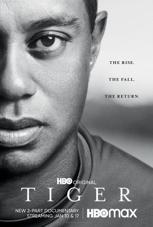 Tiger poster