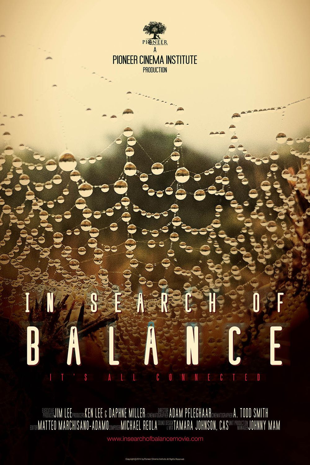 In Search of Balance poster