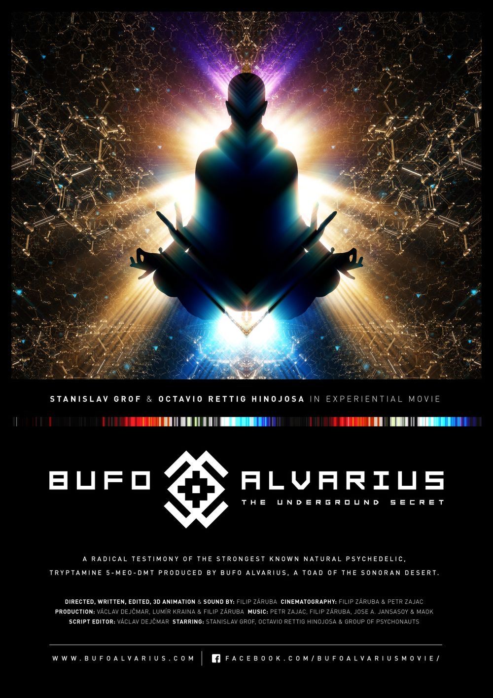 Bufo Alvarius The Underground Secret poster