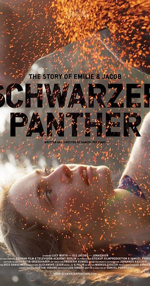 Schwarzer Panther poster
