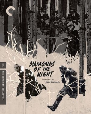 Diamonds Of The Night poster