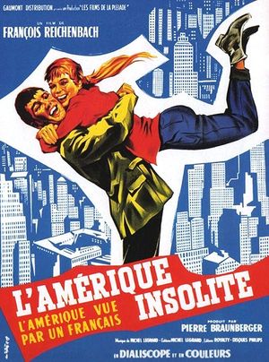America as Seen by a Frenchman poster