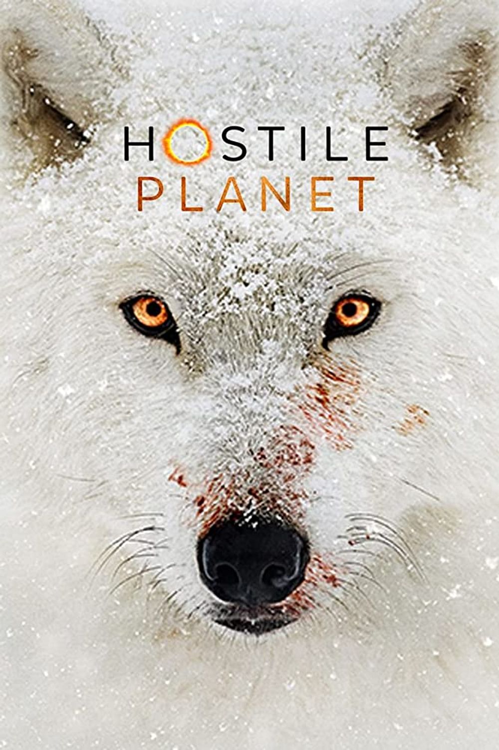 Hostile Planet poster