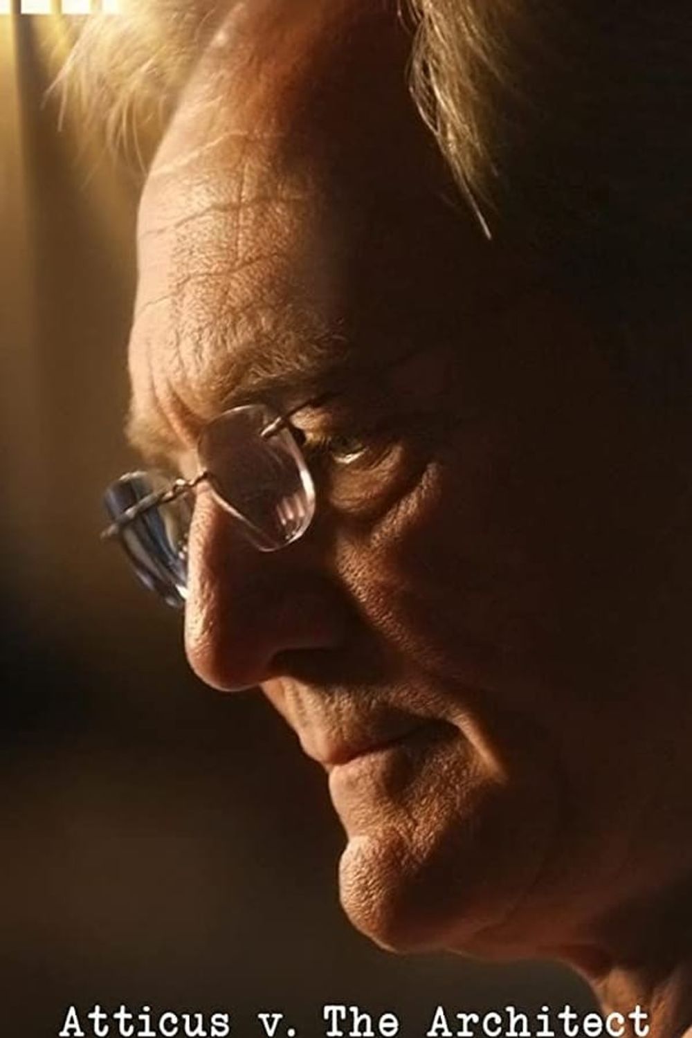 Atticus v The Architect The Political Assassination of Don Siegelman poster