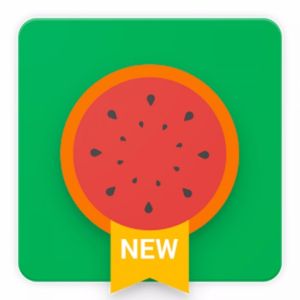Melon UI Icon Pack poster