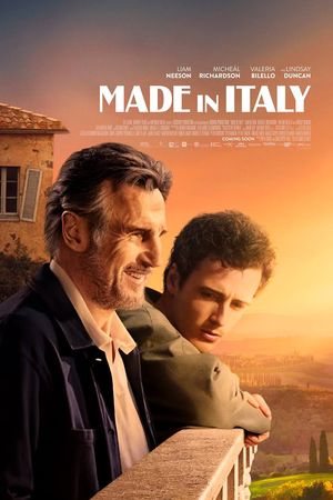 Made In Italy poster