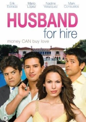 Husband For Hire poster
