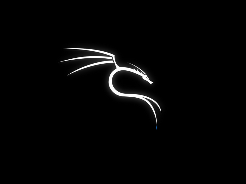 Kali Linux v2023.3 live amd64 poster