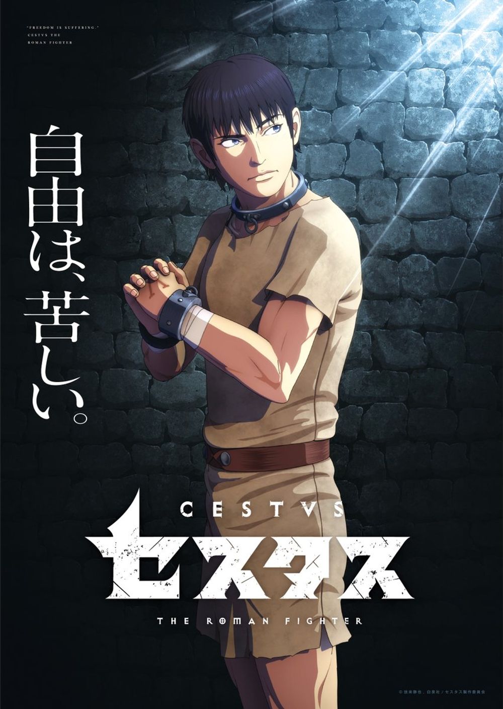 Cestvs The Roman Fighter poster