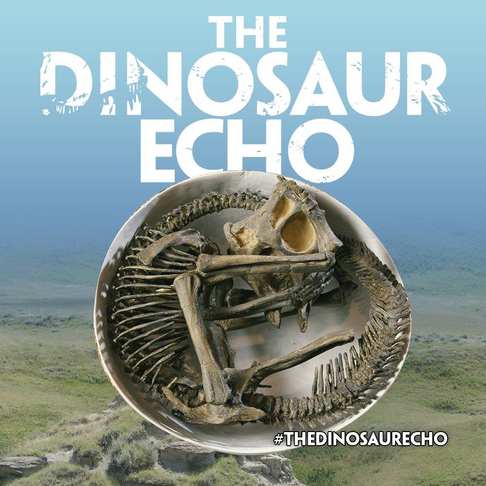 The Dinosaur Echo poster