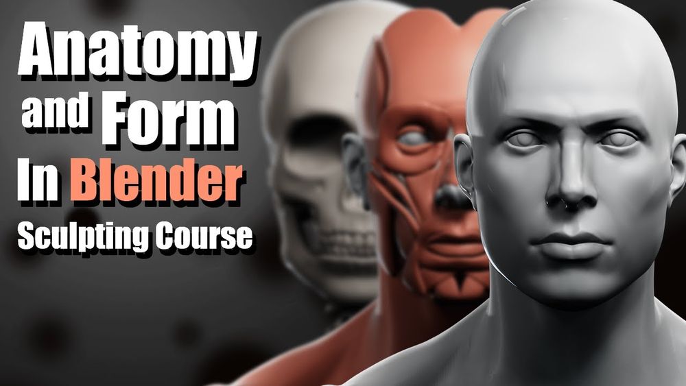 Gumroad - Anatomy and Form in Blender - Sculpting Course poster
