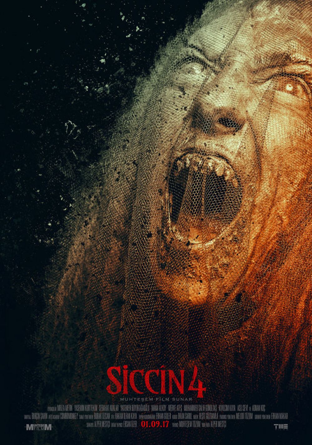 Siccin 4 poster
