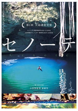 Cenote poster