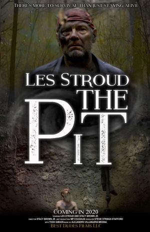 The Pit poster