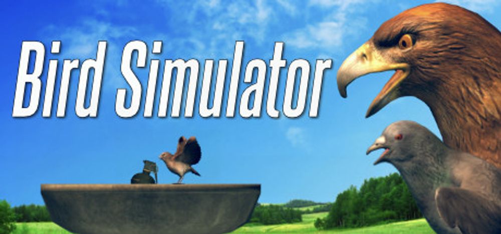 Bird Simulator poster