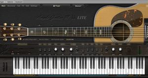 Ample Guitar M Lite II & poster