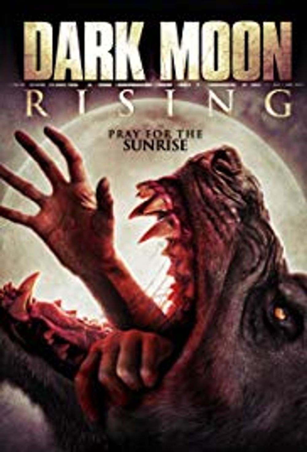 dark moon rising poster