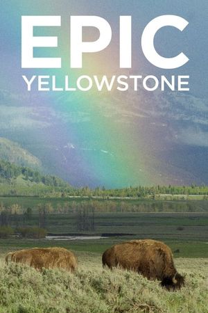 Epic Yellowstone poster