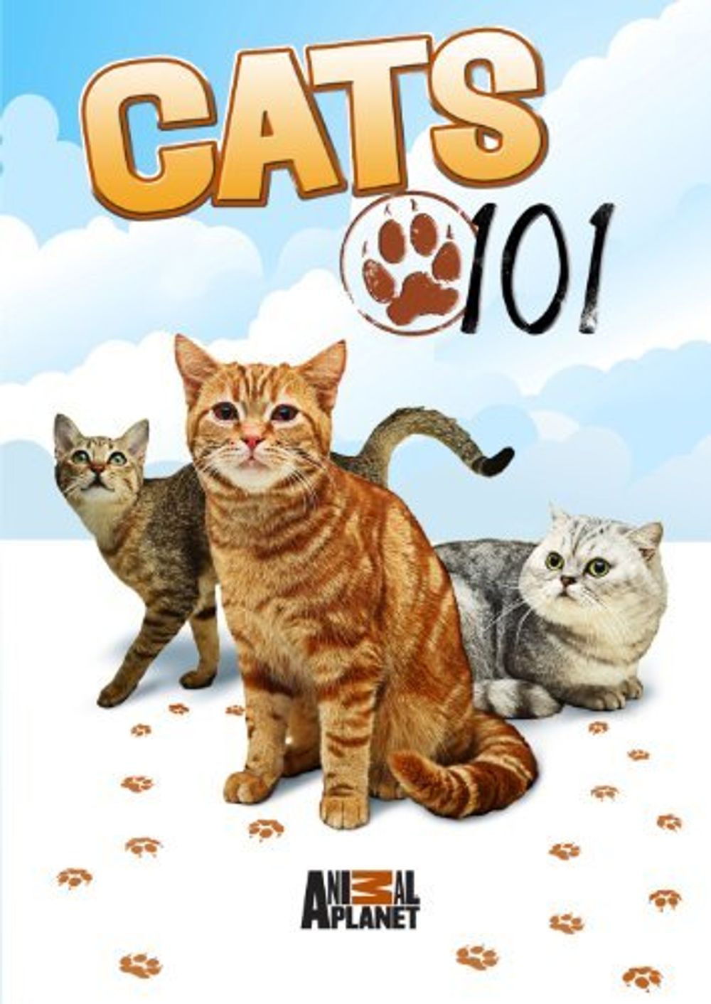 Cats poster