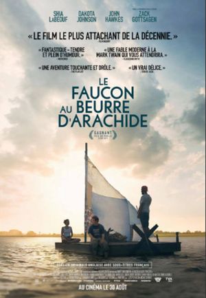 The Peanut Butter Falcon poster