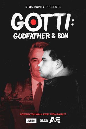 Gotti poster