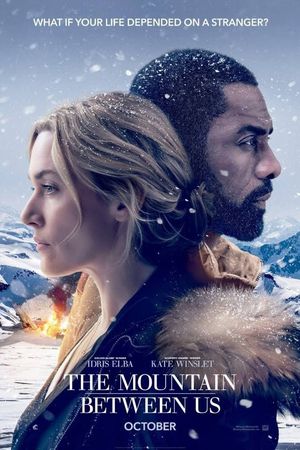 The Mountain Between poster