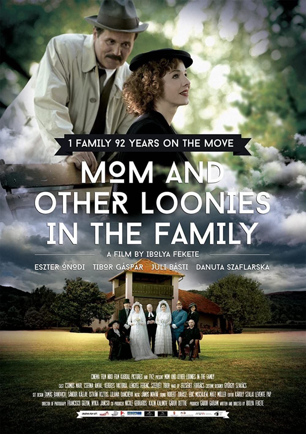 Mom and Other Loonies in the Family poster