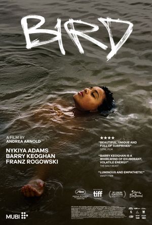 Bird poster