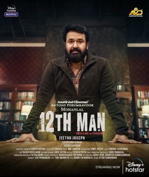 12th Man poster