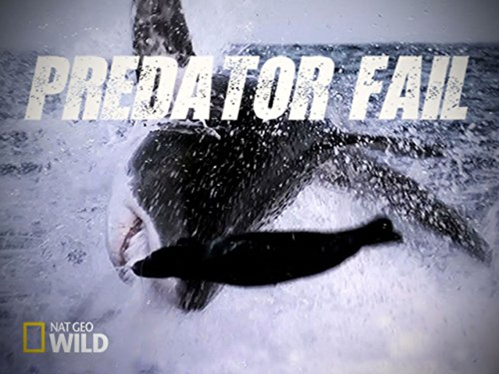Predator Fail poster