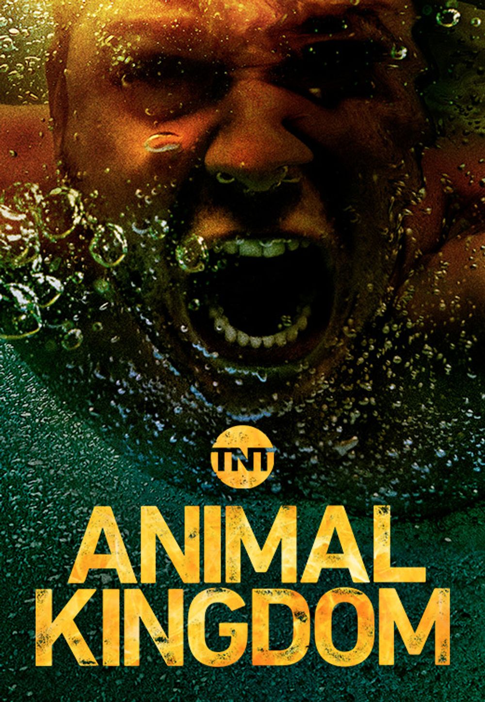 Animal Kingdom poster