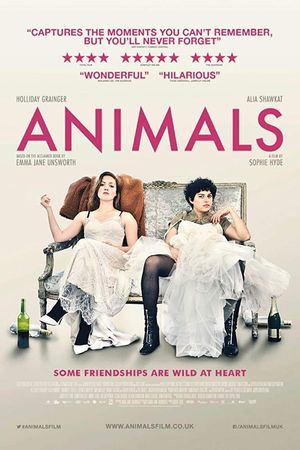 Animals poster