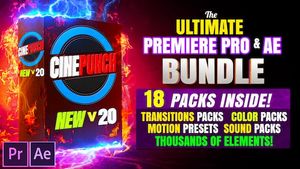 Cinepunch poster