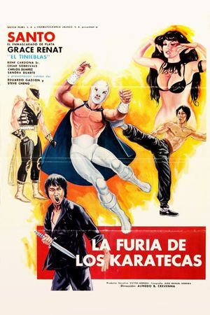 The Fury of the Karate Experts poster