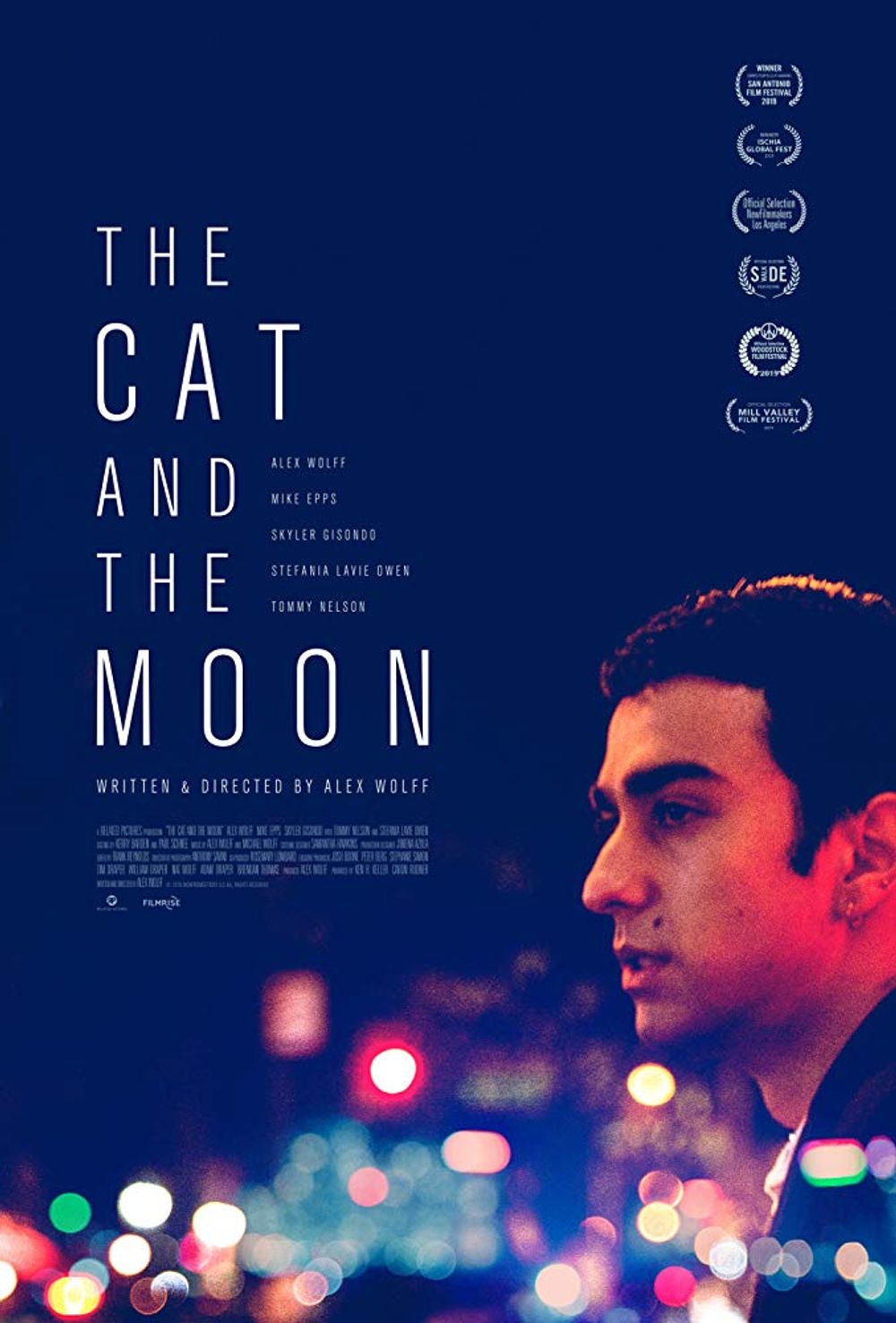 The Cat And The Moon poster