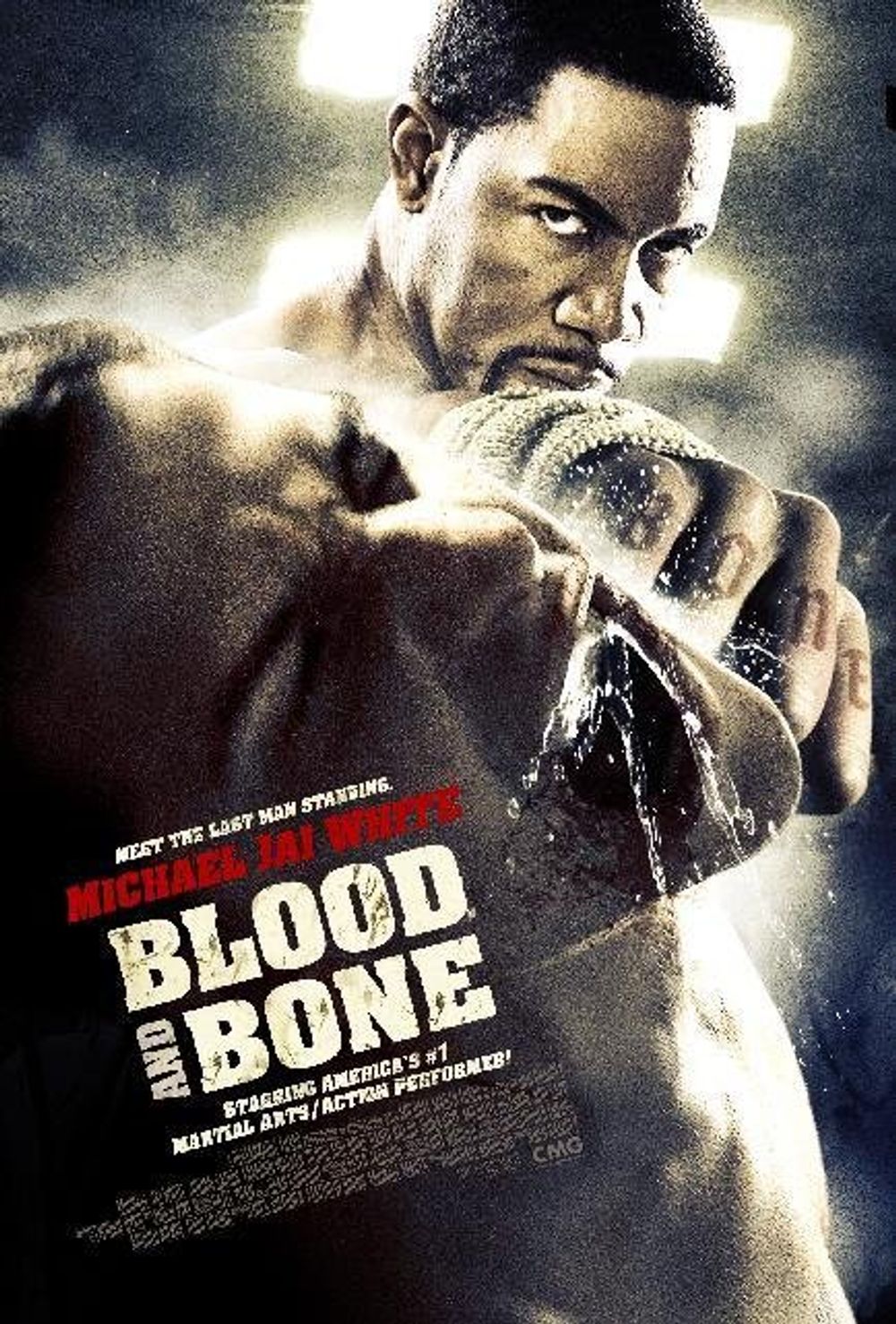 Blood And Bone poster