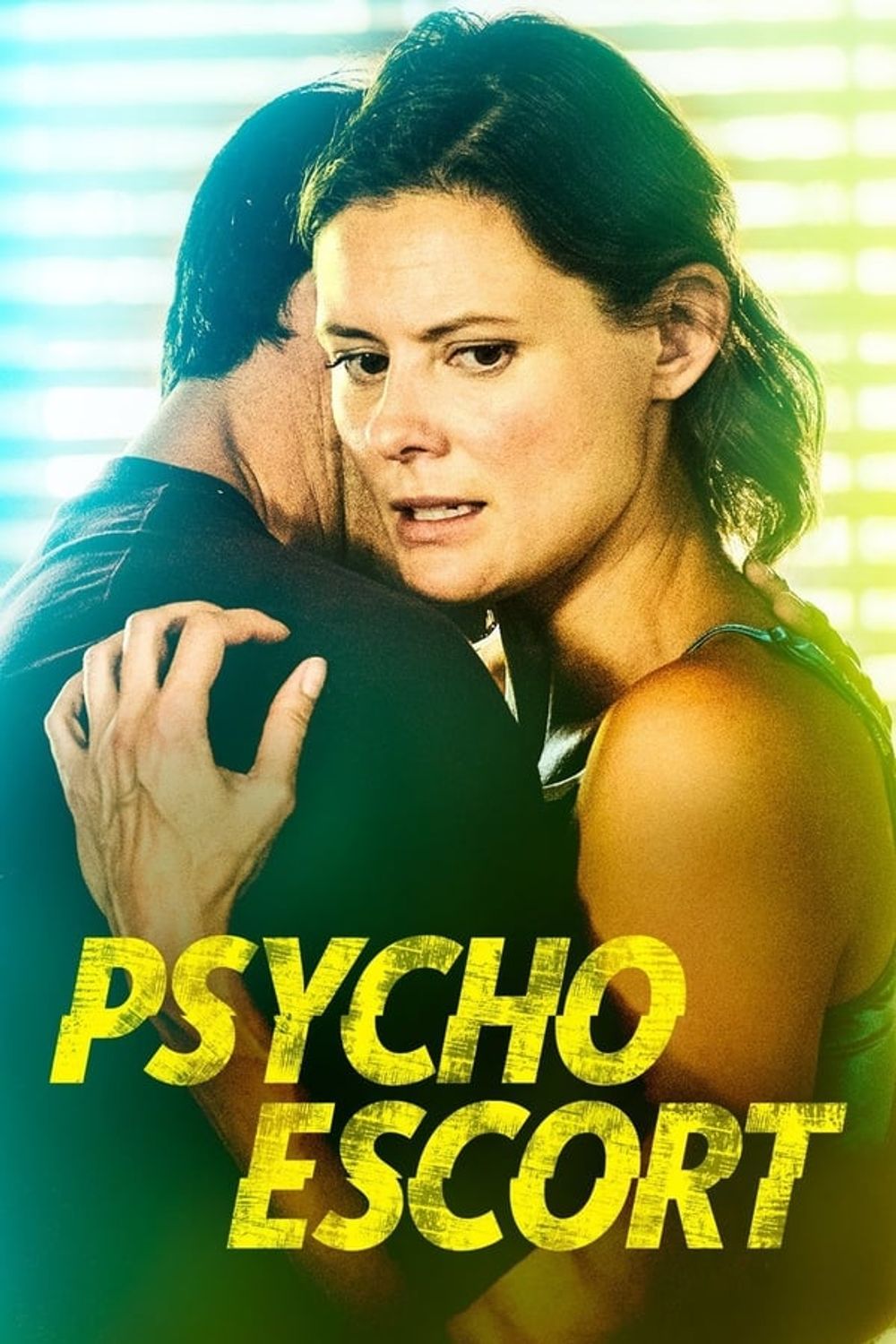 Lies For Ren poster