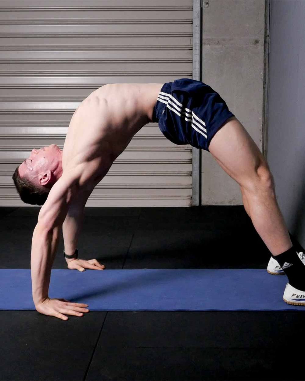 FitnessFAQs - Back Bridge Pro poster