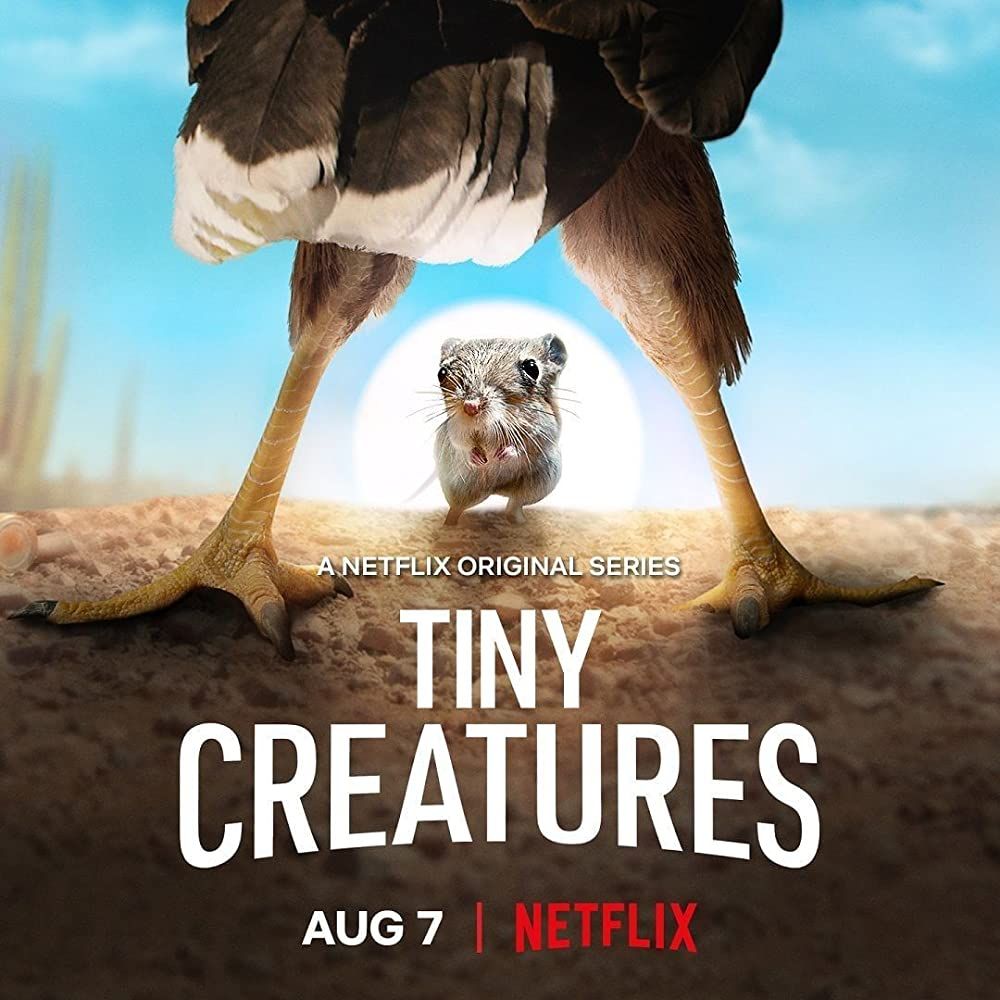 Tiny Creatures poster