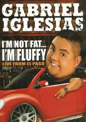 Gabriel Iglesias Im Not Fat Im Fluffy poster
