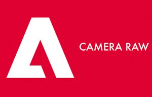 Camera Raw poster