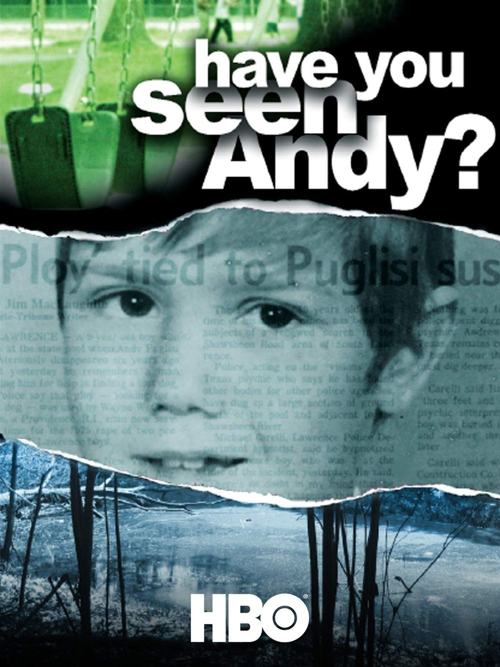 Have You Seen Andy poster