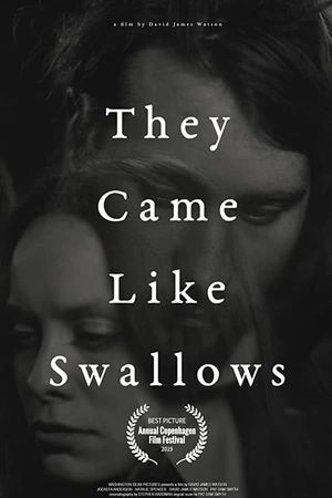 They Came Like Swallows poster